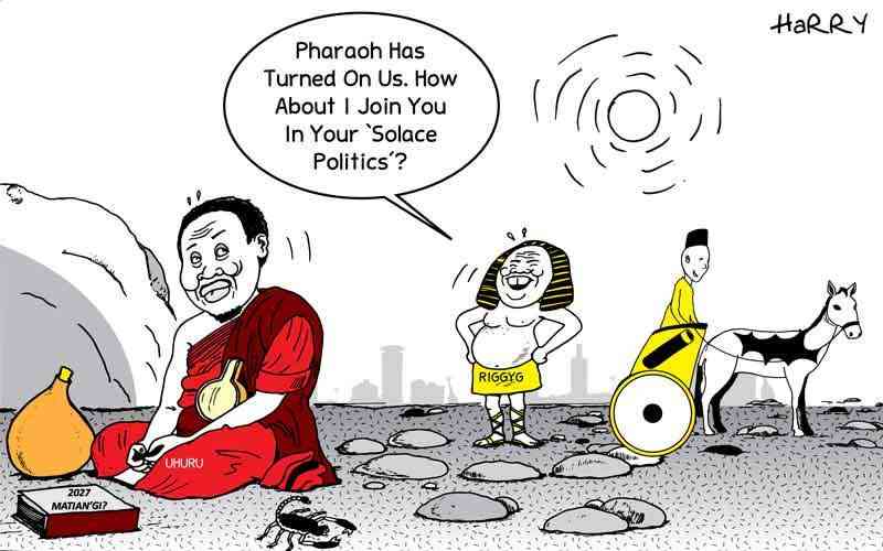 Solace in Politics