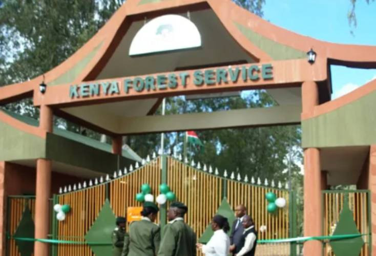 Kenya Forest Service clarifies incident of alleged assault by forest rangers