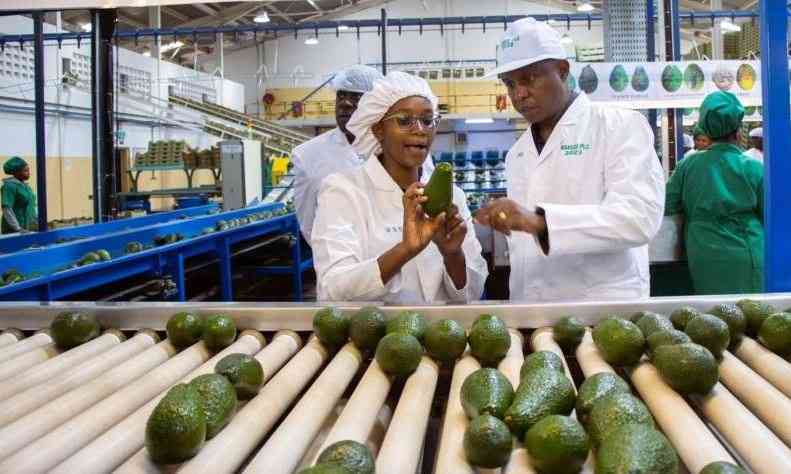 Kakuzi outlines growth plans to boost earnings