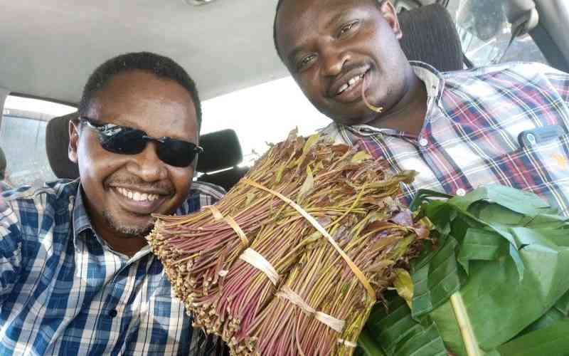 Hope as Kenyan-Somali border reopened for Miraa transportation