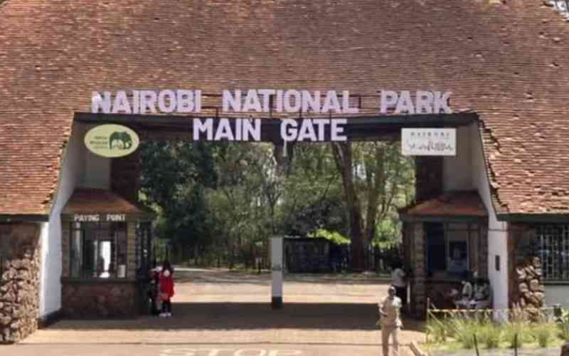 KWS raises park entry charges after 18-year freeze