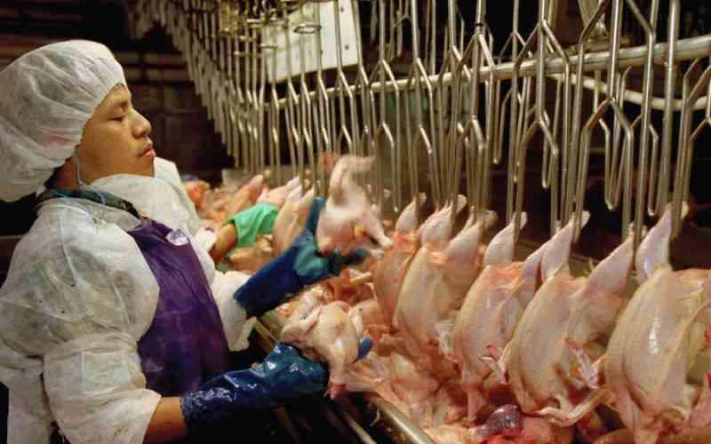 Poultry players protest US import deal plan