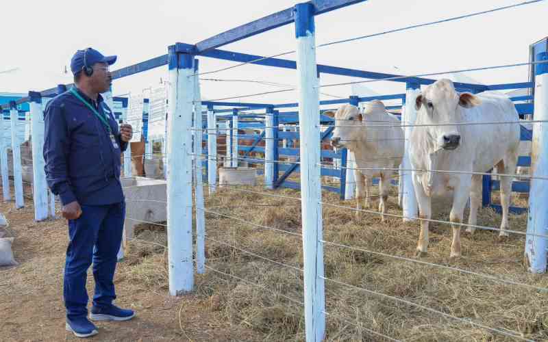 Kenya joins Brazil in global initiative to end hunger