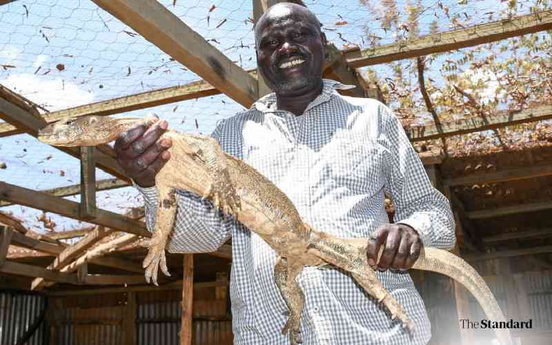 Baringo man successfully tame notorious lizard