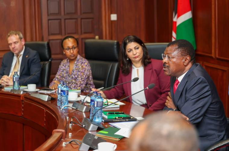 Wetang'ula urges Germany to champion humane migration