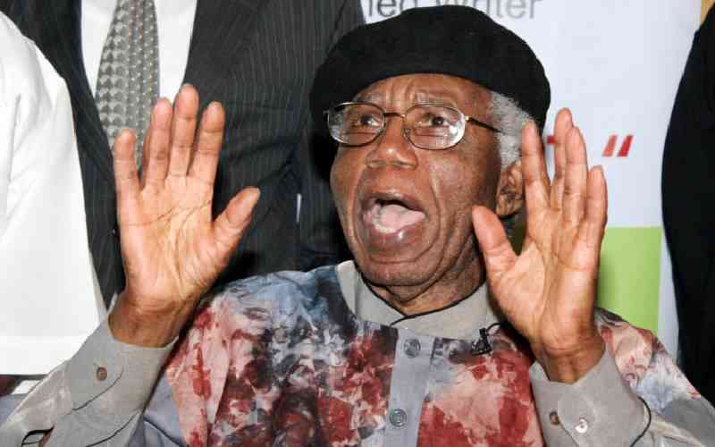 Chinua Achebe's enduring impact on African narratives 13 years on