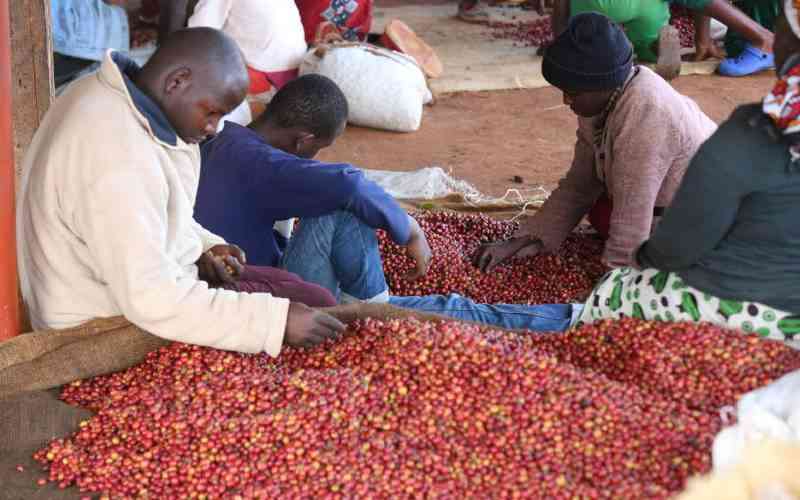 Youths find niche in roasting, packaging natural coffee