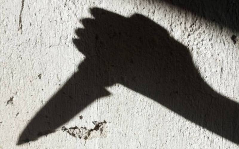 A 21-year-old man arrested after allegedly stabbing his elder brother