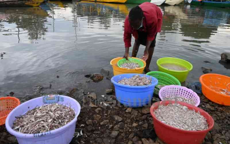 Balancing benefits and risks in every fish purchase decision