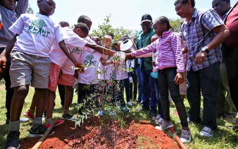 Environmentalist Kalua leads mourners to plant 101 trees to honour Kitui Centenarian