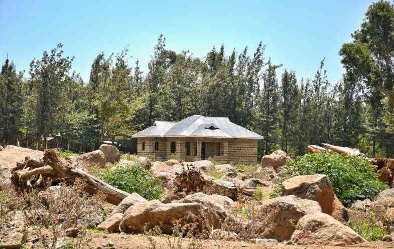 Dam tragedy survivors get mental health help