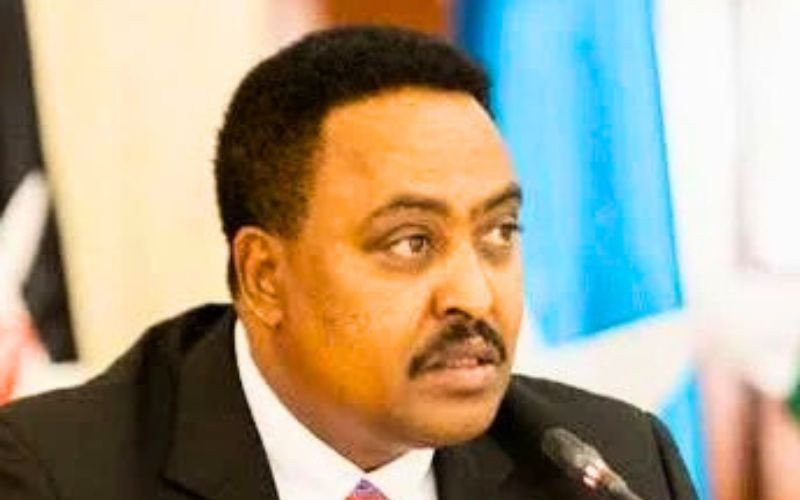 Whistleblower: Donors are bankrolling IGAD's dysfunction
