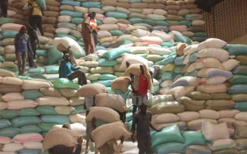 Relief to farmers as Ruto halts maize importation