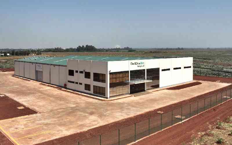 New legislation in green financing a boost for Kenya's agricultural exports