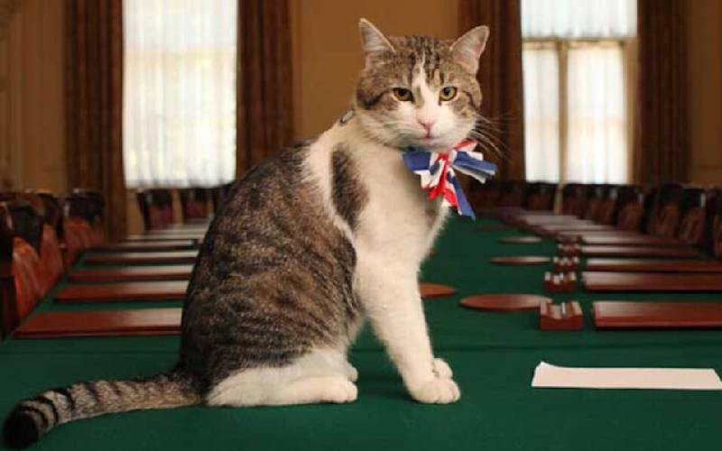 Larry the cat: Chief mouser who has fired six Prime Ministers