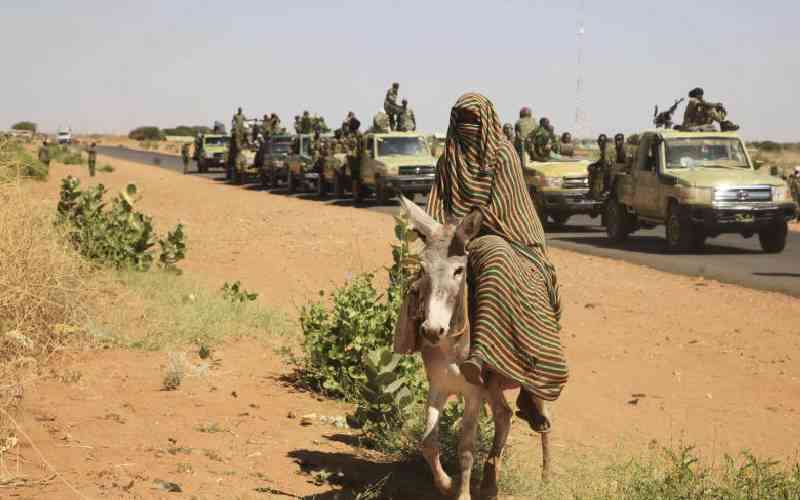 Two dozen killed in Darfur town as war spreads: monitor, eyewitnesses