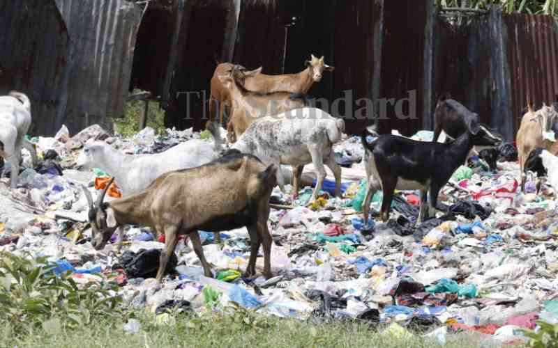 NEMA warns of arrests as crackdown on banned plastic bags intensifies