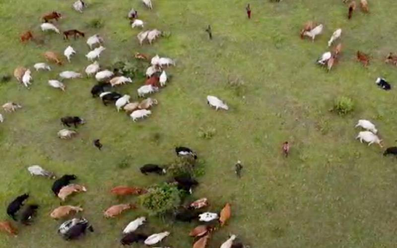 State orders herders out of private farms in Baringo, Laikipia