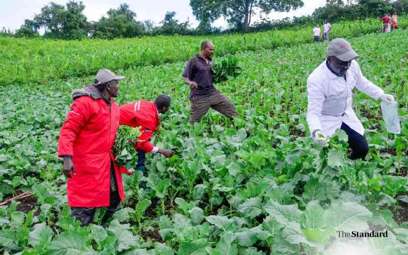 Farmers lead Nakuru's growing food safety revolution