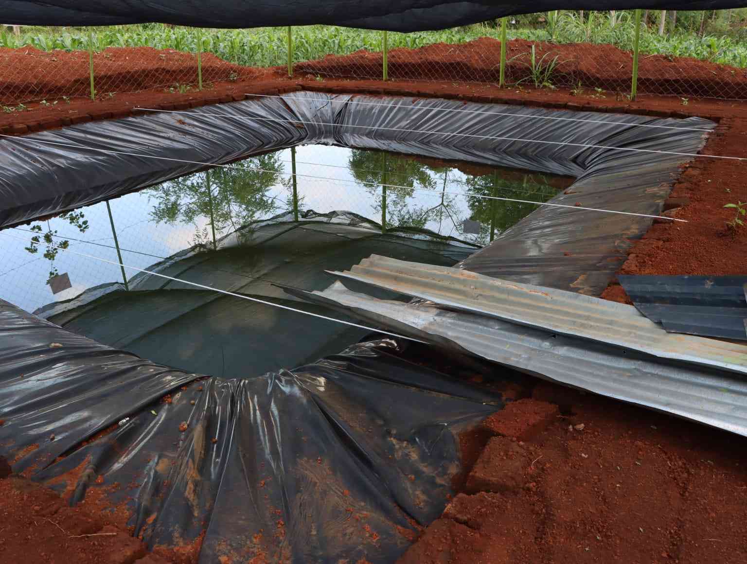 Water harvesting technology from house roofs to water pans