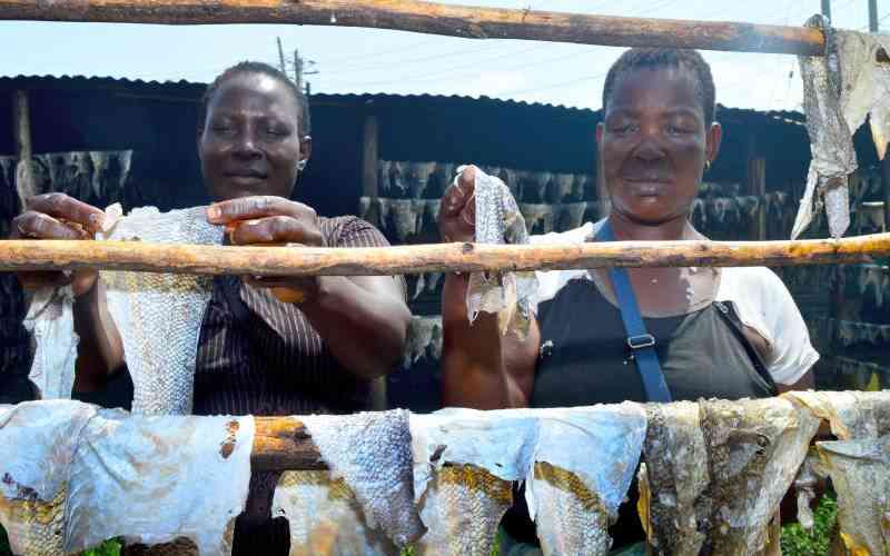 Fish waste initiative lives on despite supply challenges