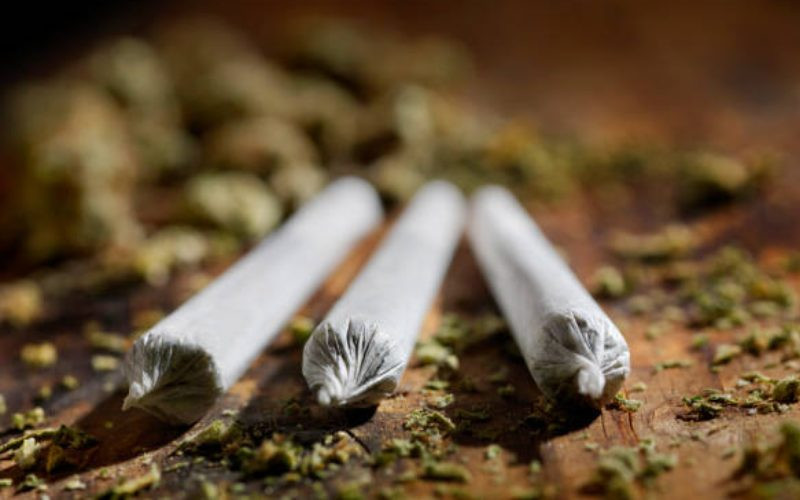 Students arrested smoking bhang put on probation