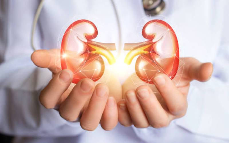 How to care for your kidneys