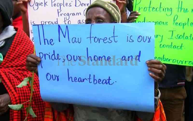 Inside 9 months of pain for Ogiek families after Mau East evictions