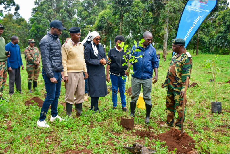 From aid to investment: How Africa is shaping global shift in nature finance