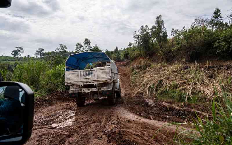 Boys recount 'torment' at hands of armed rebels in DR Congo