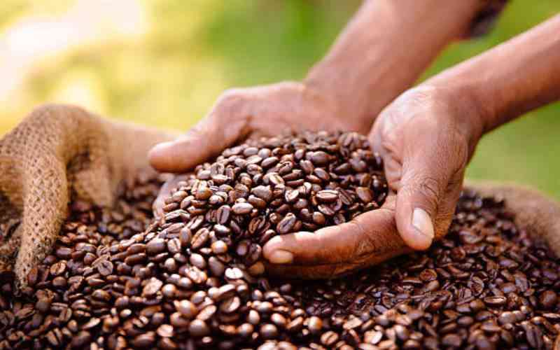Nandi farmers fault reforms in coffee sector