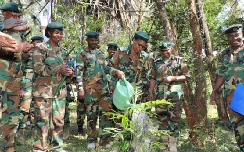 Kenya Forest Service defends forest plantation harvesting in Karura, Thogoto