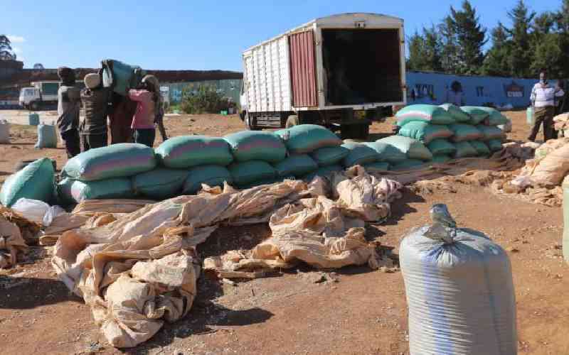 Maize farmers restless as planting season beckons amid import fears