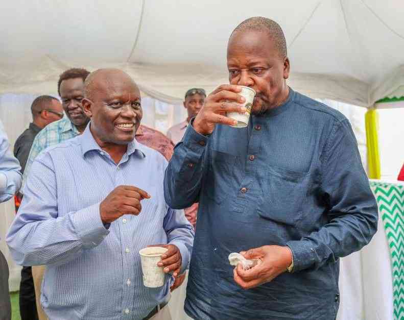 Orthodox tea to fetch better earnings