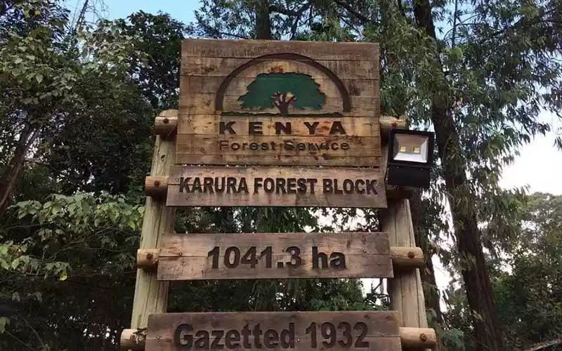 Karura Forest under threat from greedy individuals seeking profit