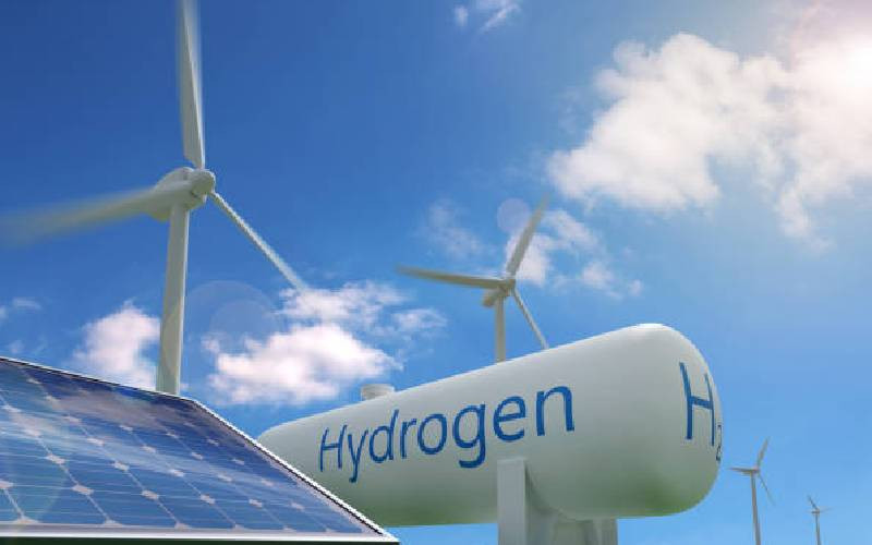 Germany to help Kenya hit 100 renewables, export hydrogen