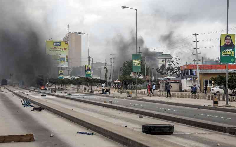 Tanzania tourism suffers after election killings