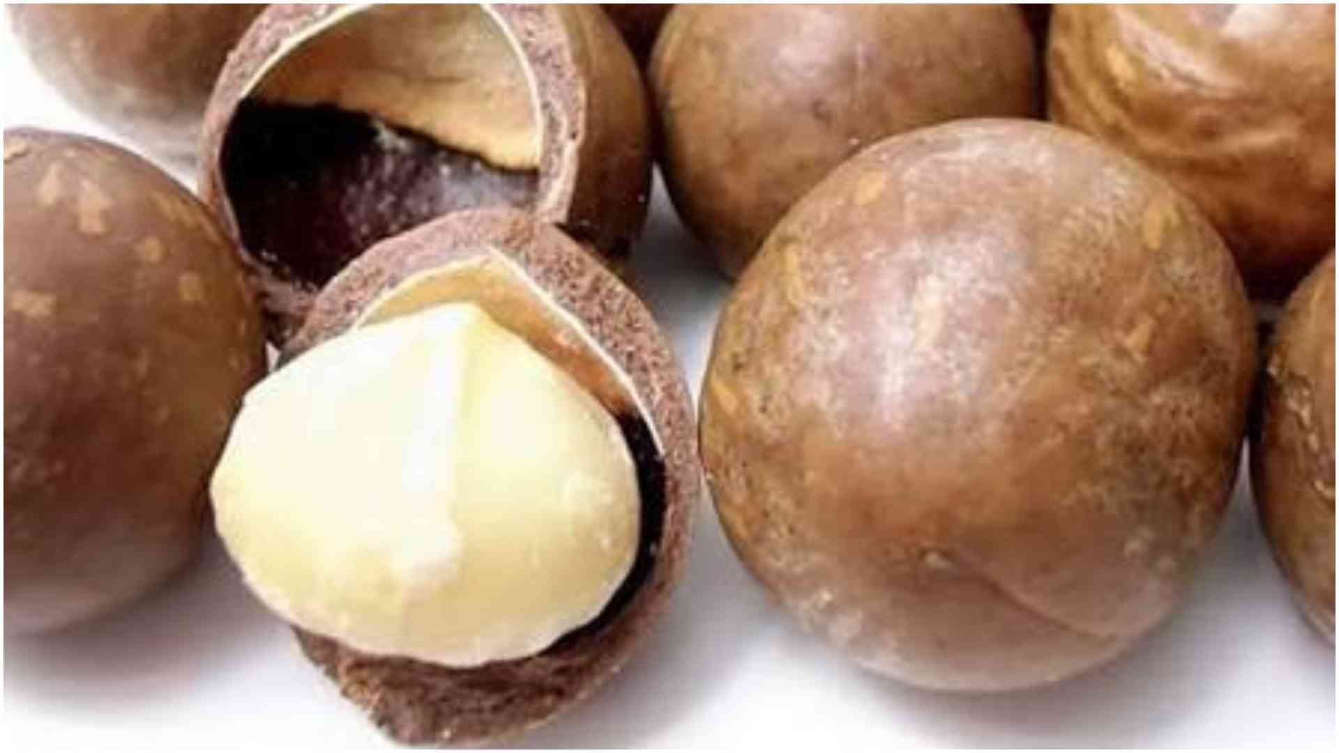 Nairobi trader Loses Sh1 million in alleged Macadamia seed scam