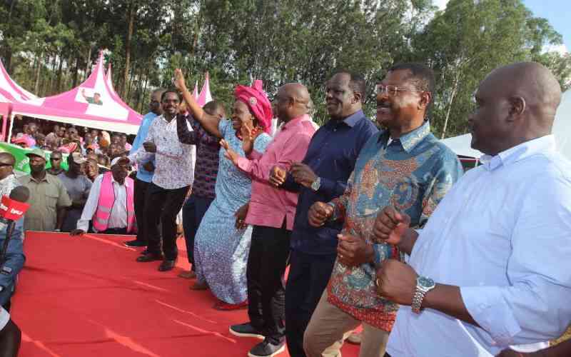 Kingpin politics splits Western leaders, threatens push for Luhya unity