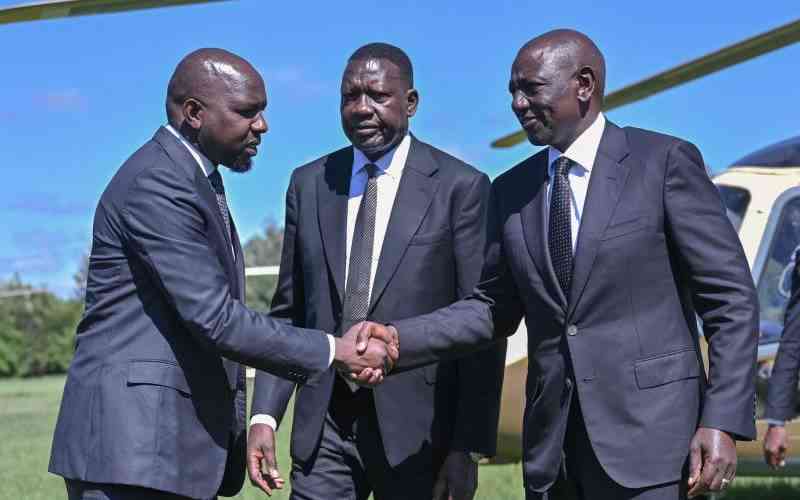 City lawyer seeks to kick out Ruto advisors, force them to refund taxpayers' money