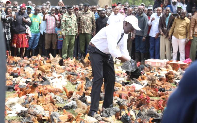 William Ruto's rise from small 'chicken seller' to top contender for State House