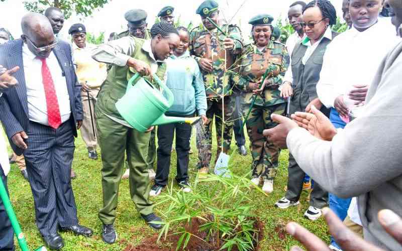 Mazingira Day by the numbers: Can Kenya hit 15 billion trees by 2032?