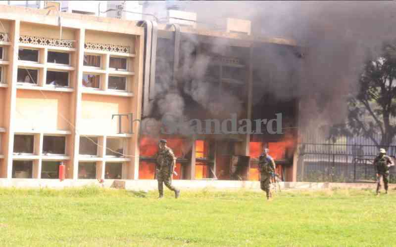 Pay up, but stop brutalising protesters and critics, Amnesty tells Ruto