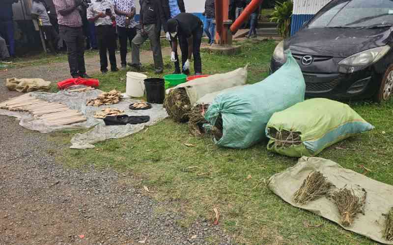 Police seize Sh5 million bhang in Homa Bay student hostel raid