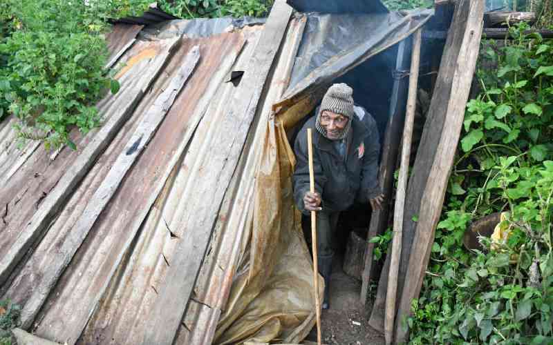 Uprooted from the forest: The Ogiek fight for survival, identity