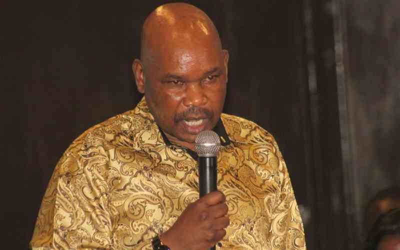 'Chill, folks,' Makau Mutua says after backlash on Ruto appointment