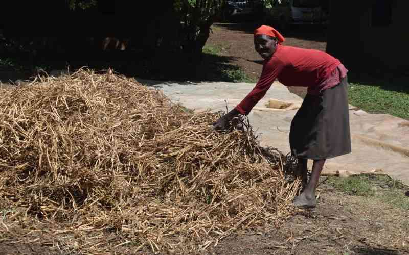Farmers bank on weather forecast information to boost production