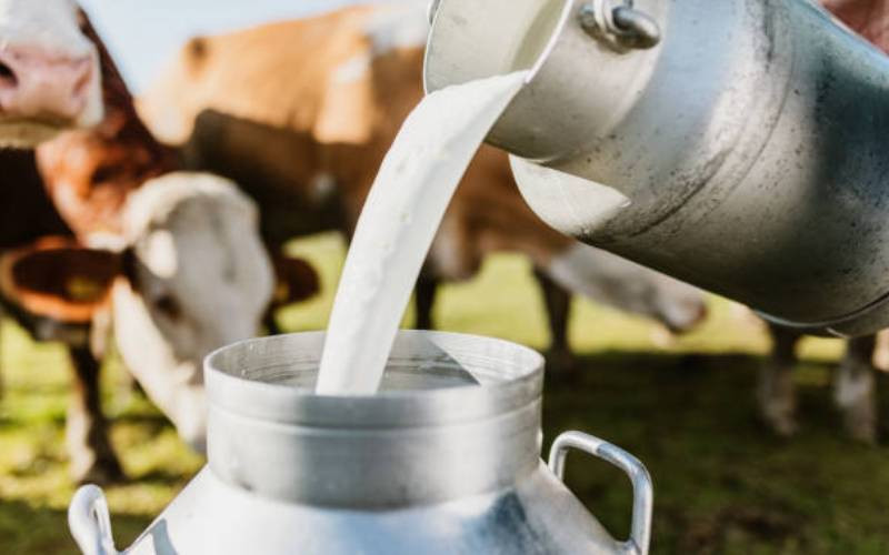 Milk processors urge government not to import powdered milk