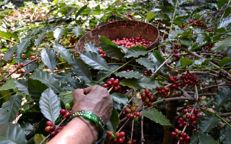 Climate change re-modelling coffee value chains globally