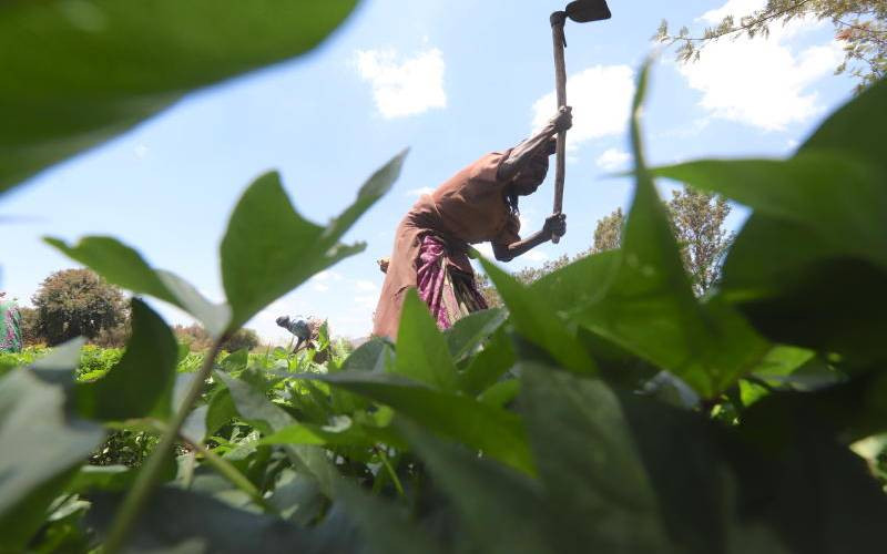 Blow to food security as farmers sidelined in finance
